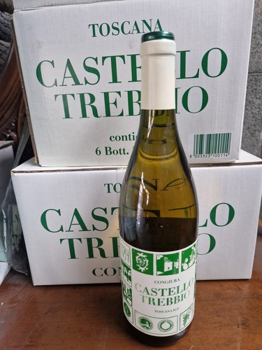 Castello del trebbio congiura - castello,